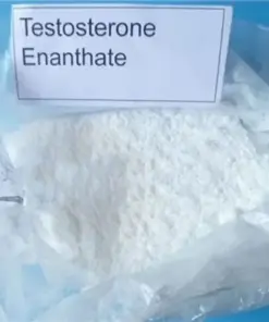 Where to Buy Testosterone Enanthate Powder Online